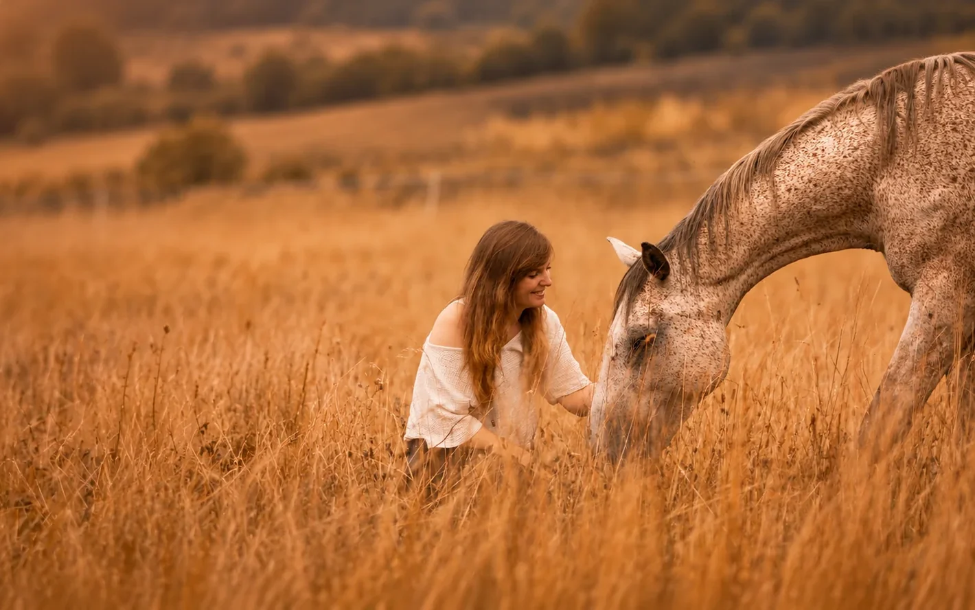 Ramona kniet im goldenen Gras bei einem grauen Pferd