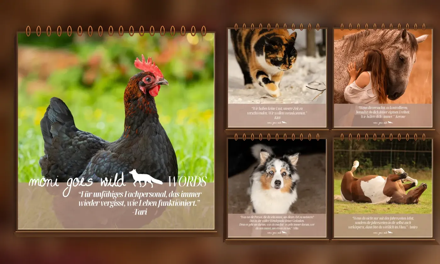 Originalseiten des Sprüchekalenders mit Tari und weiteren Tieren